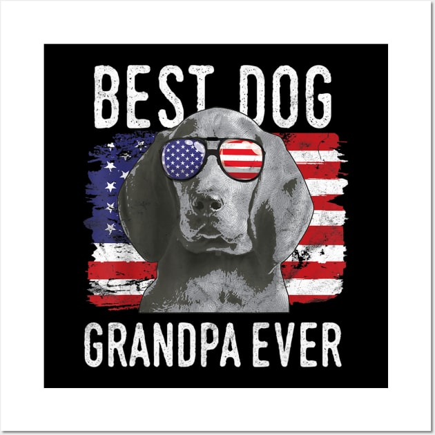 American Flag Best Dog Grandpa Ever Redbone Coonhounds USA Wall Art by Carmenshutter